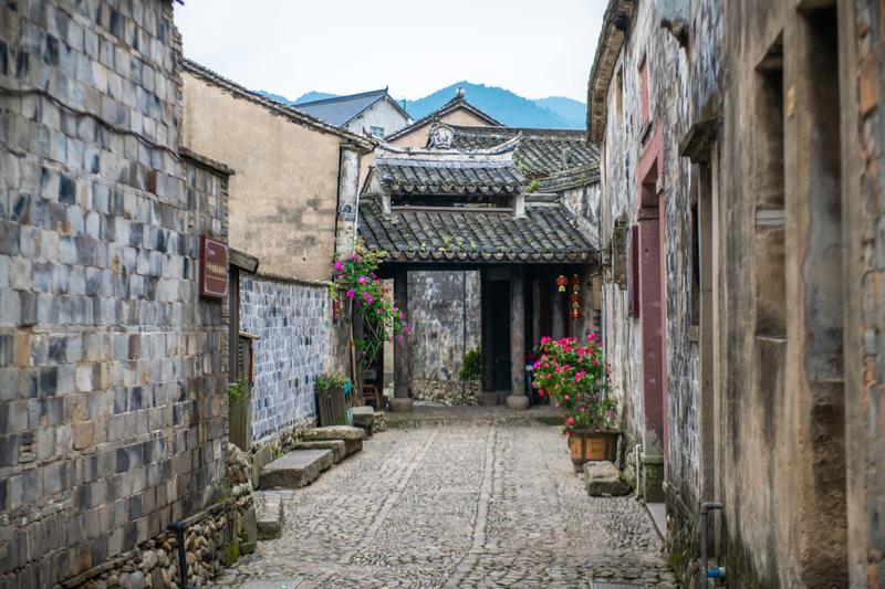 逃离诡异之林