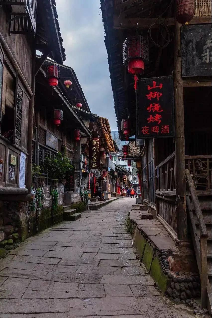拯救红松鼠
