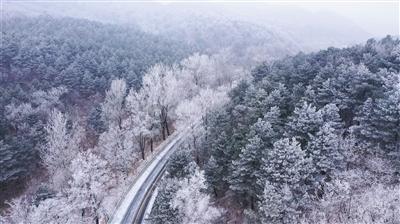 沙漠赛道驾驶